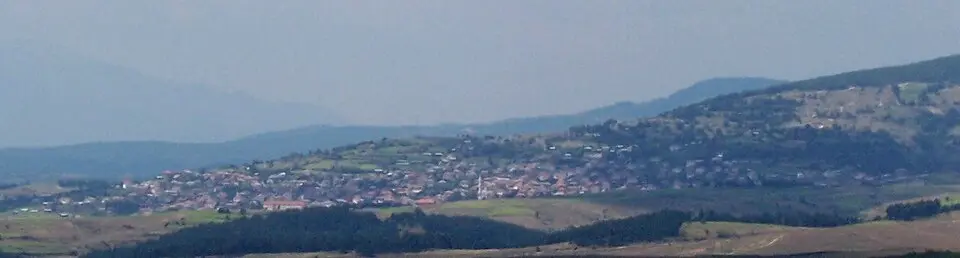 Valkosel