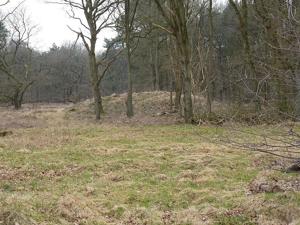 Terrein met twee grafheuvels