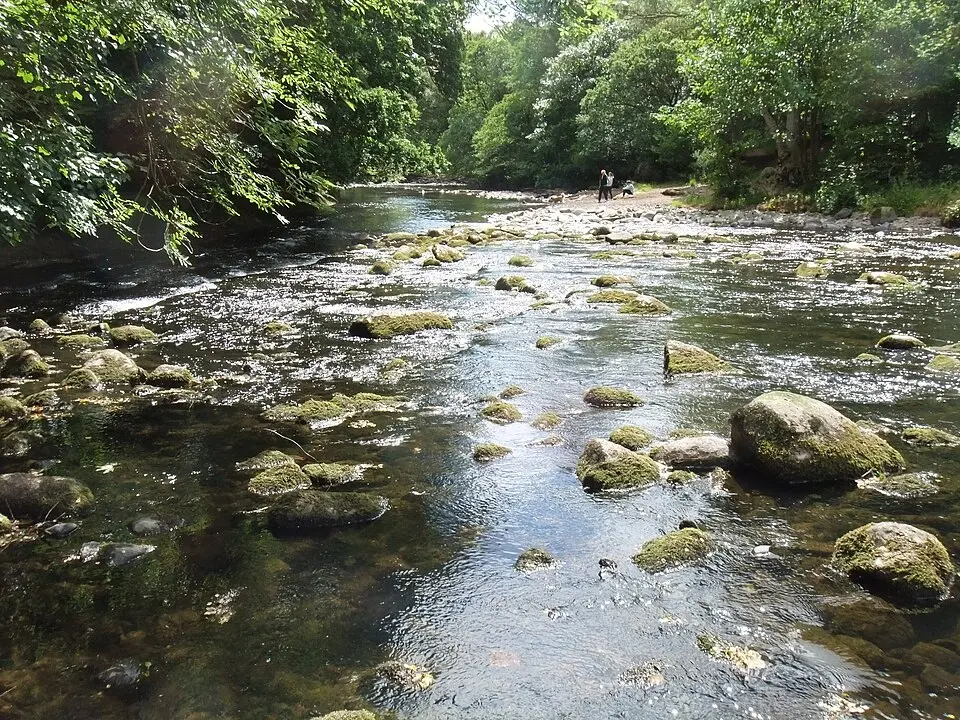 Allan Water