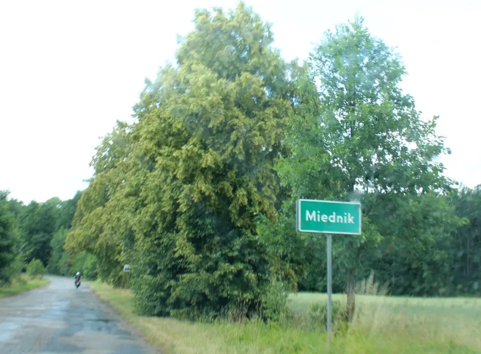 Miednik