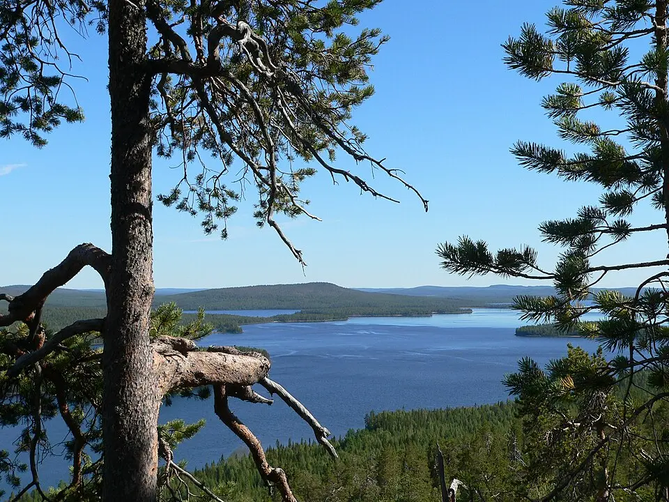 Miekojärvi
