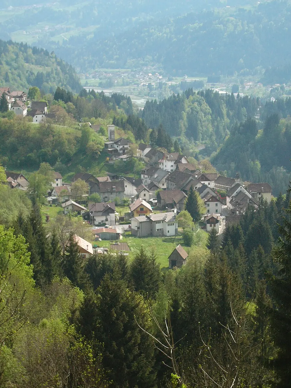 Mieli