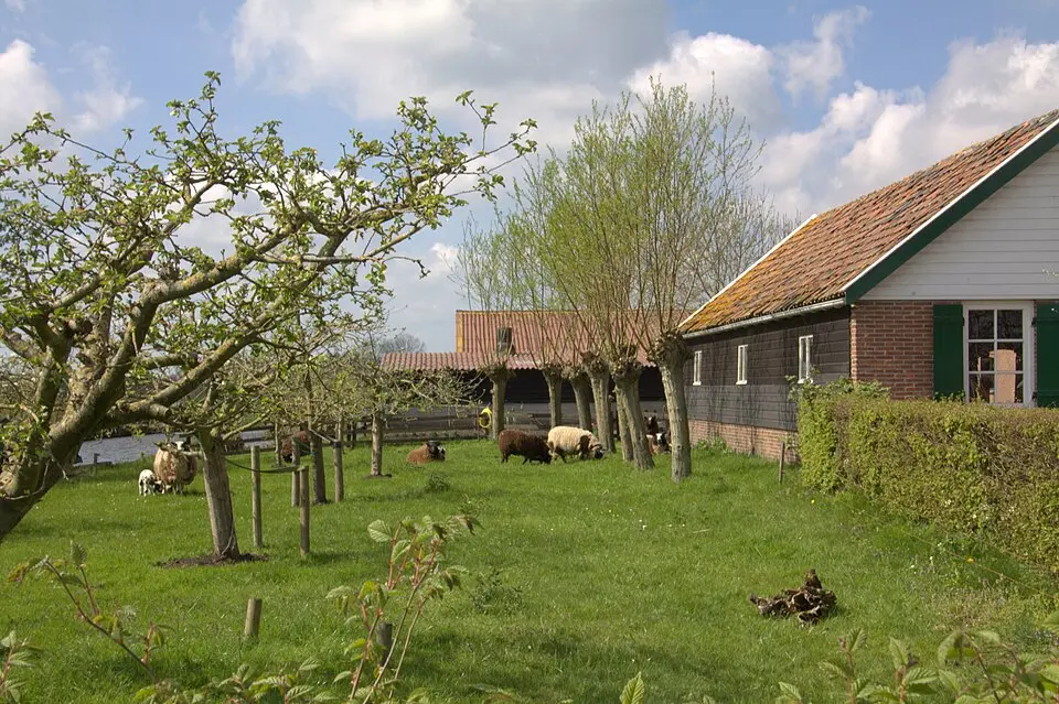 Mijzijde