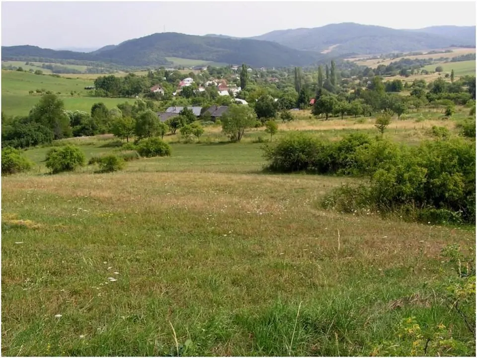 Miková