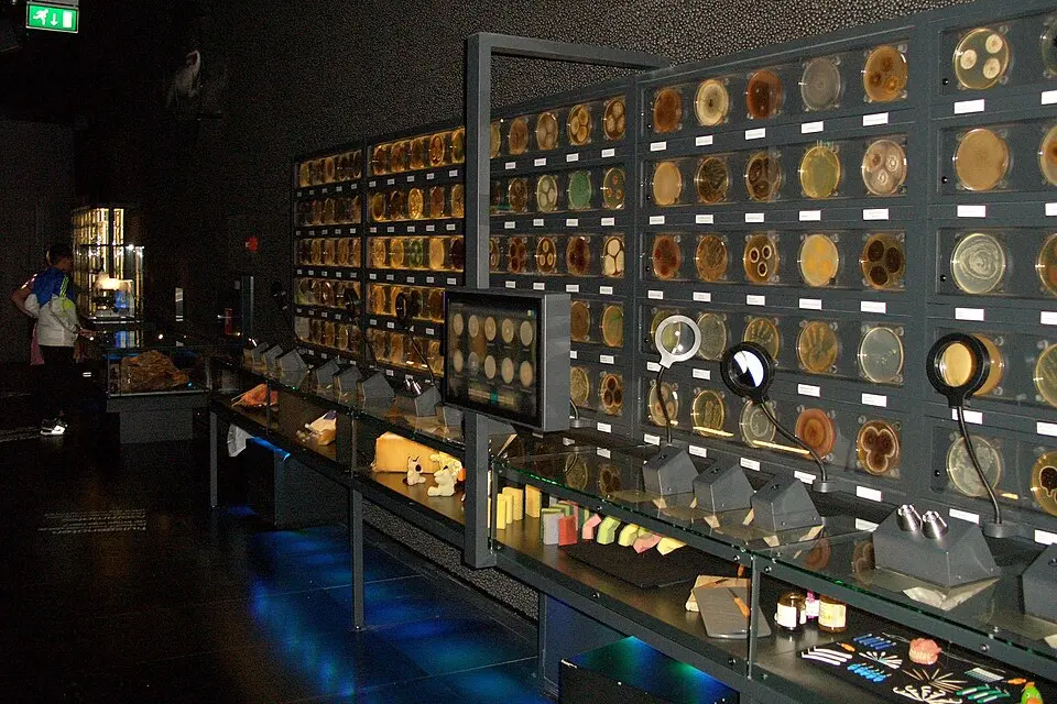 Micropia