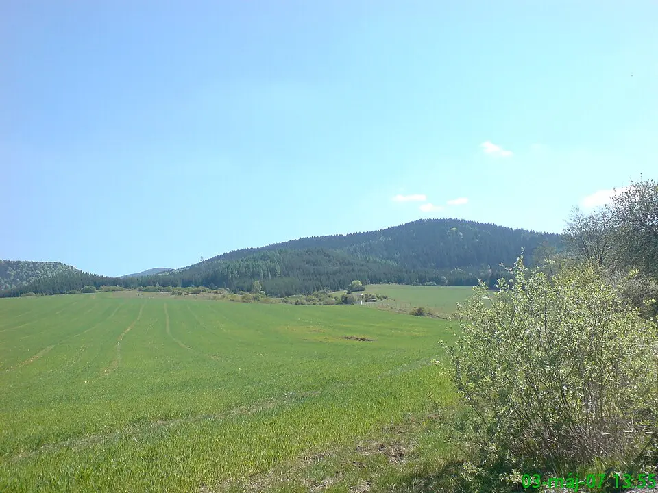 Mikušová