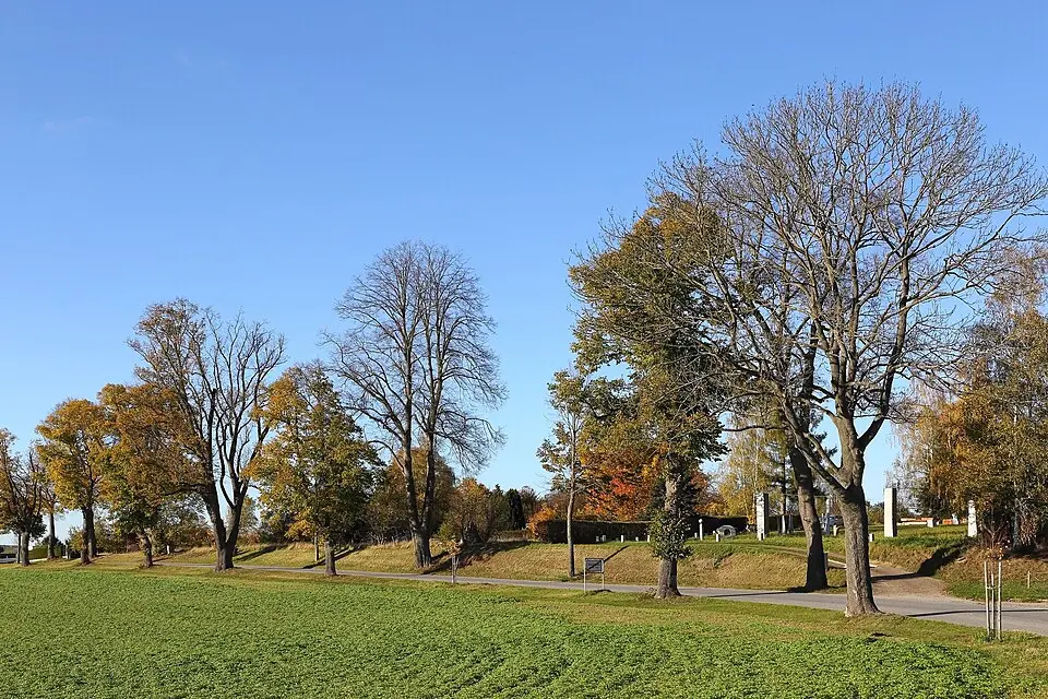Allee an der Thayastraße