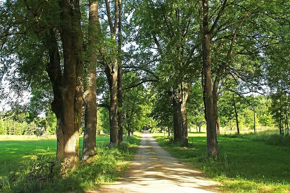Allee beim Galthof