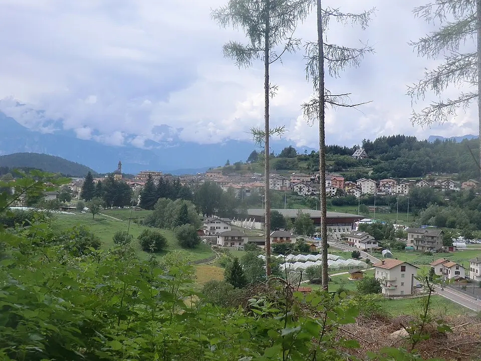 Miola