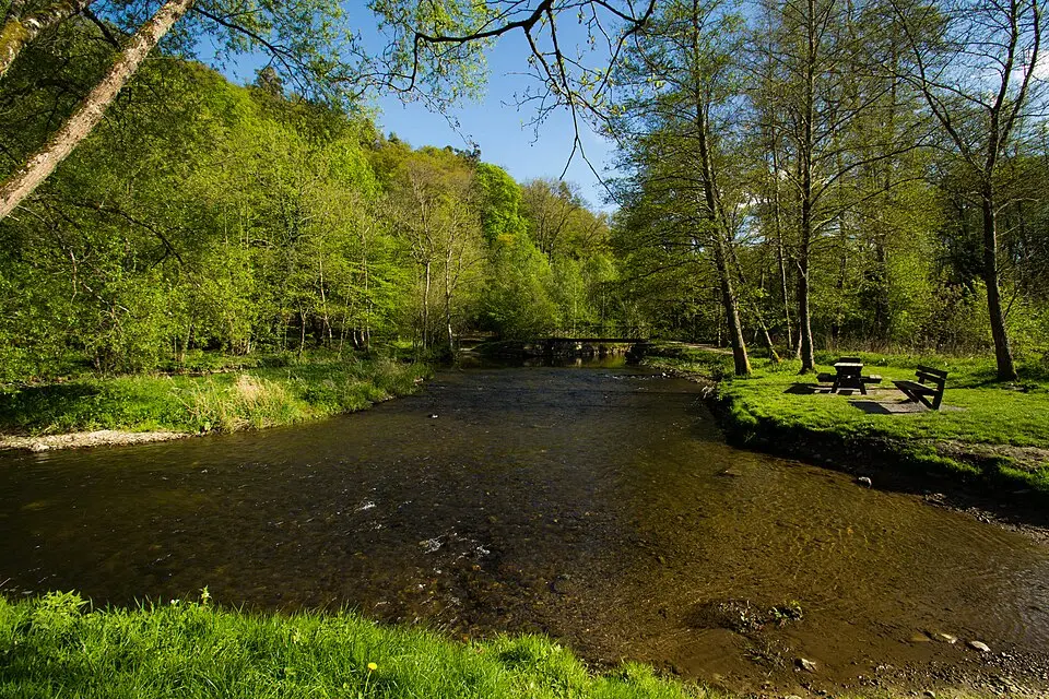 réserve naturelle domaniale du Pré des Forges