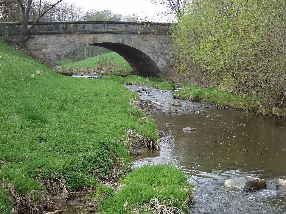 Image: Benutzer:Roehrensee · Public domain Mistel