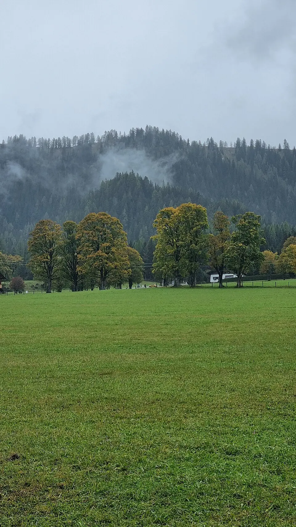 Mittereck