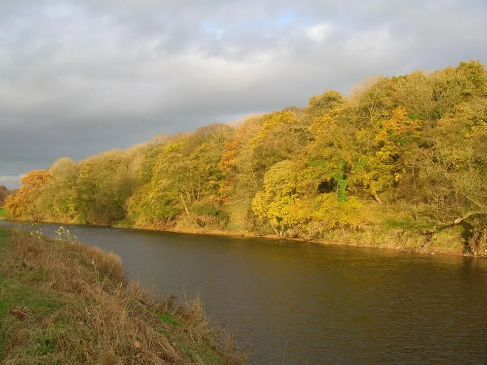 Little Mitton