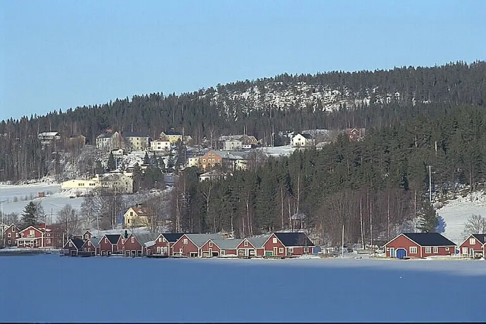 Mjällom