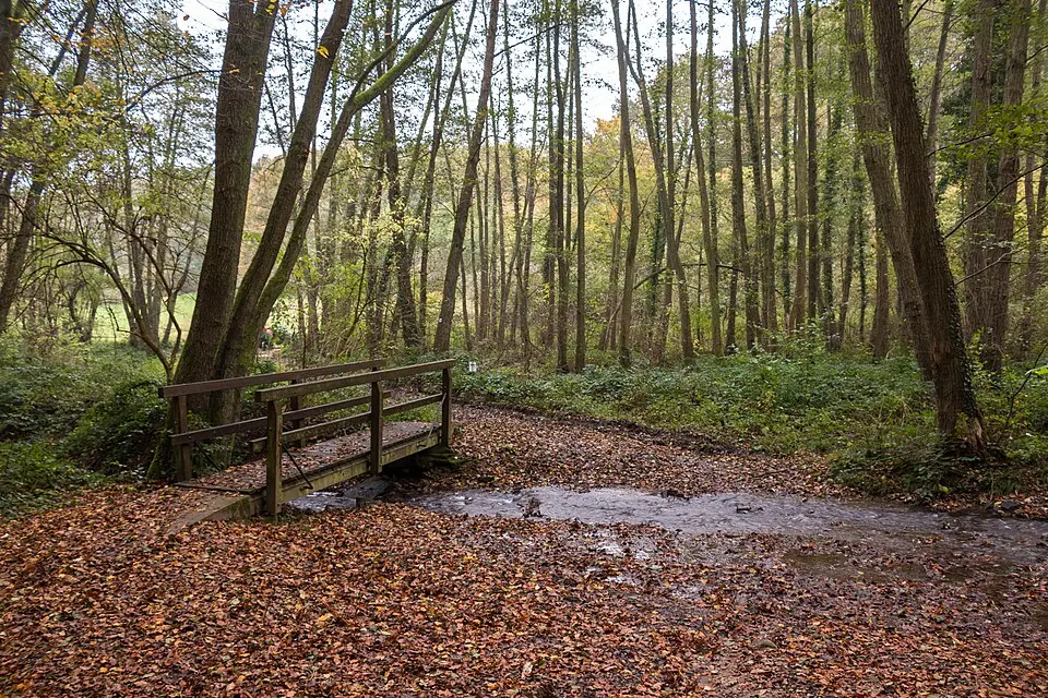 Naturpark Rhein-Taunus