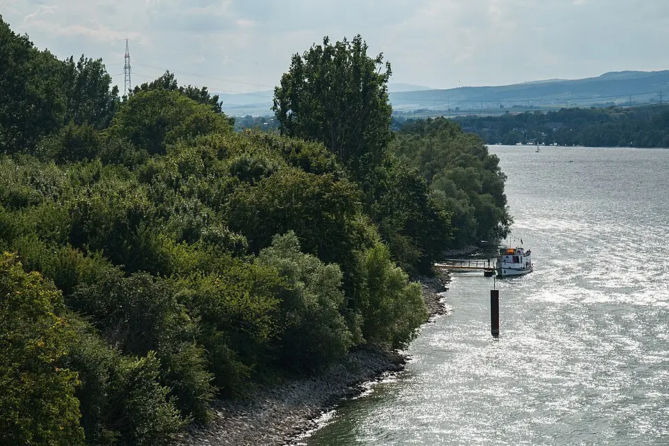 Rettbergsaue