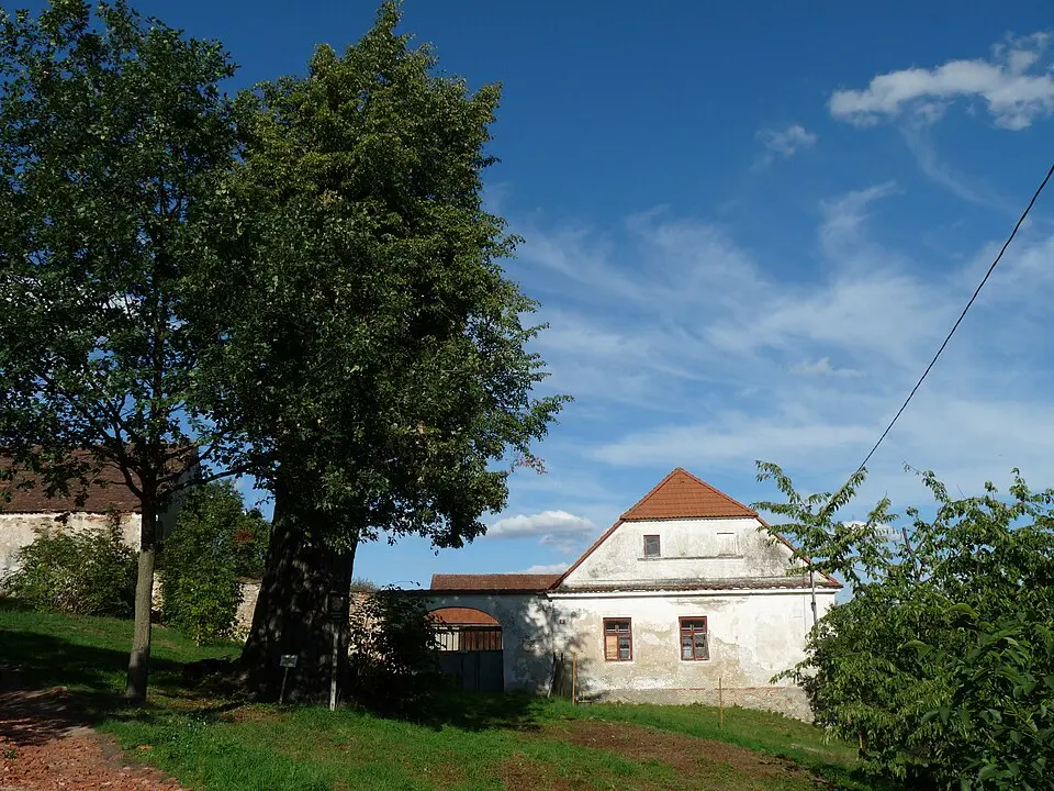 Mladovice