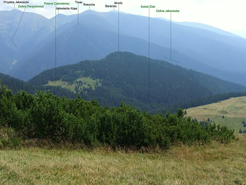 Mních