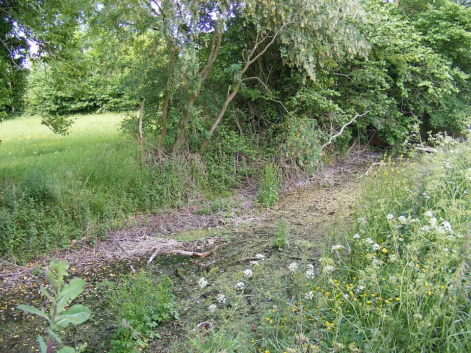 Moat Farm moated site, 650m west of Goodwyns Farm