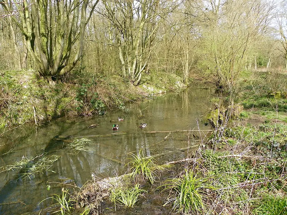 Whomerley Wood moated site