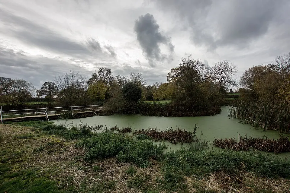 Monks Lane moated site, Acton