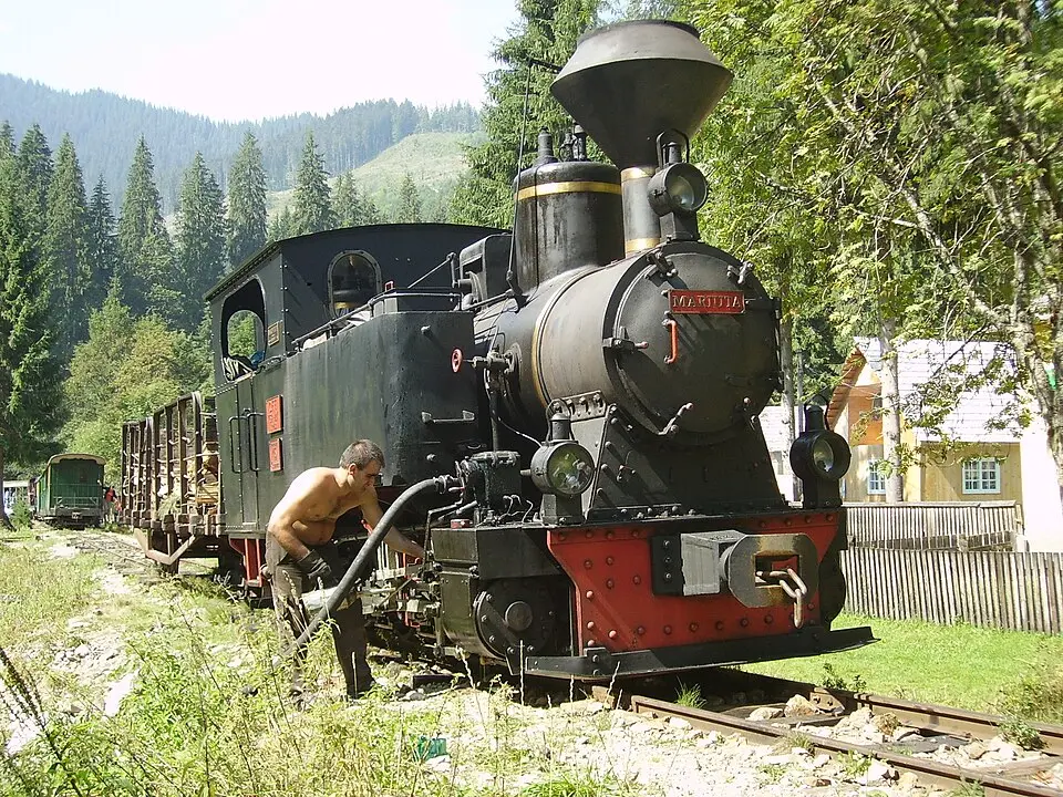 CFF Vișeu