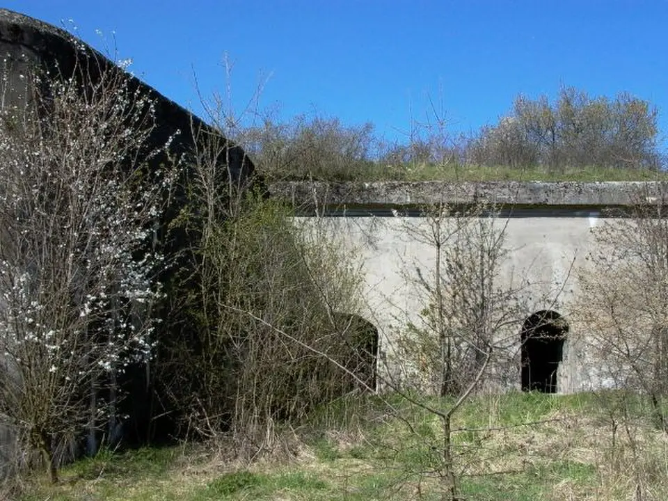 Strubiny