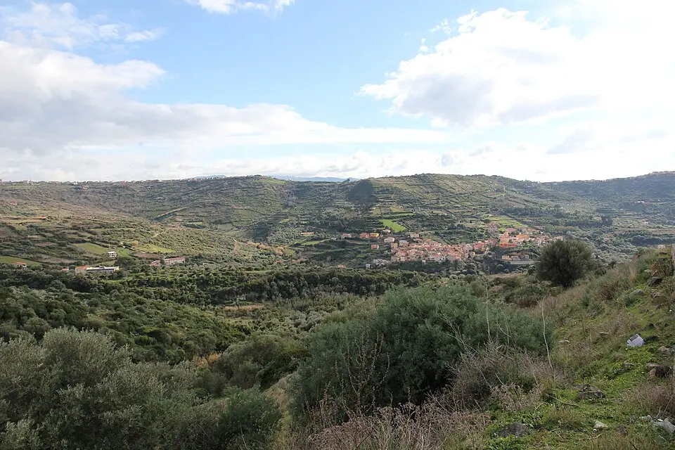 Planargia
