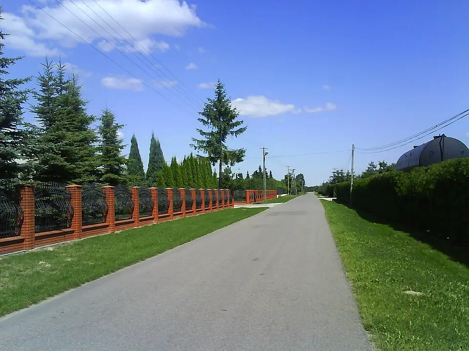 Modrzewina
