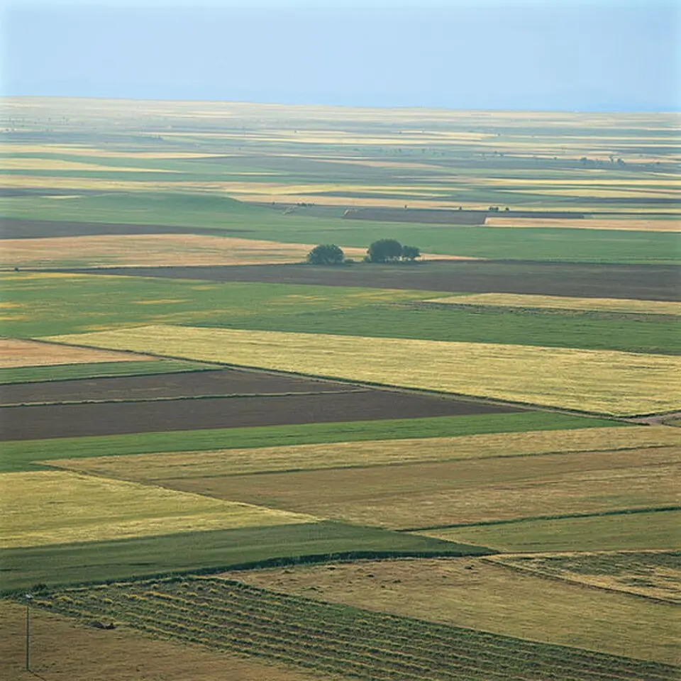 Tierra de Campos