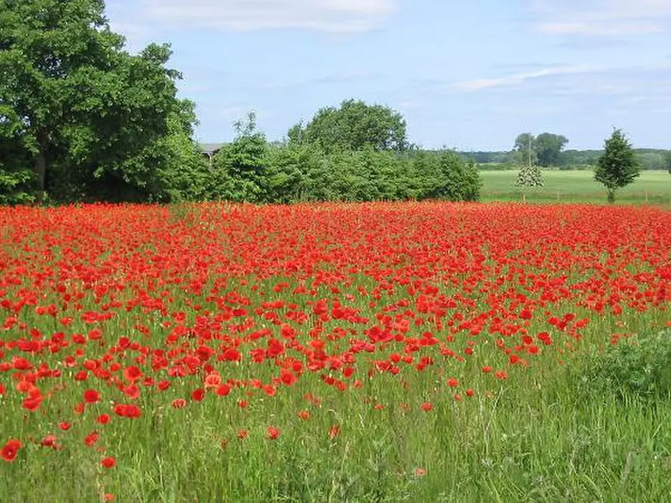 Image: Lienhard Schulz · CC BY-SA 3.0 Prignitz