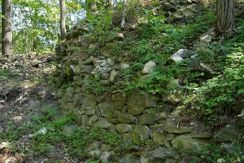 Mojžíř
