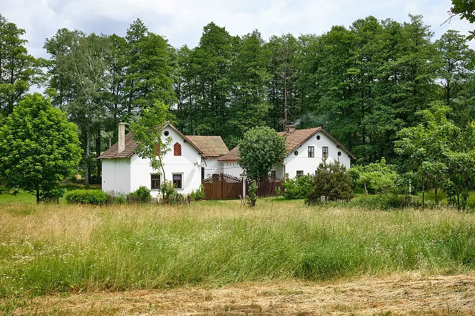 Mokřina
