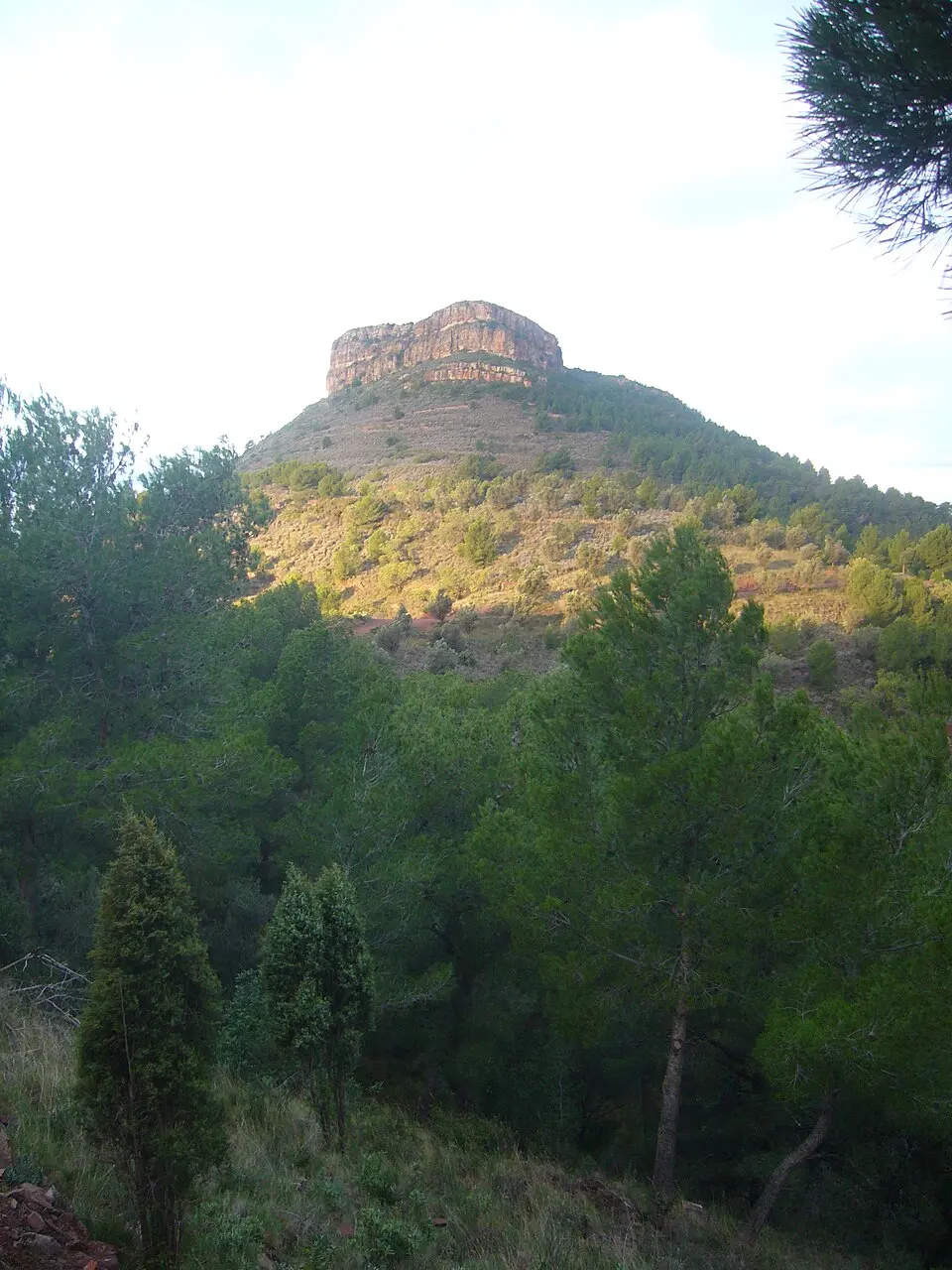 Mola de Segart