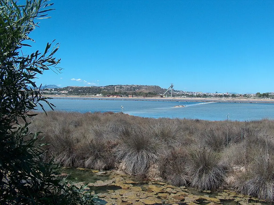 parco naturale regionale Molentargius - Saline