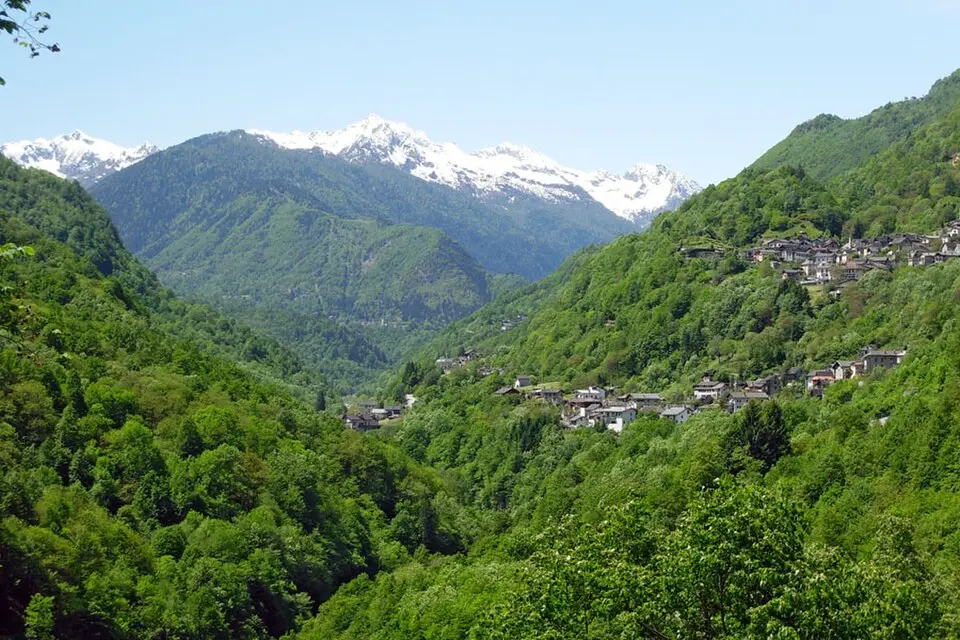 Molini