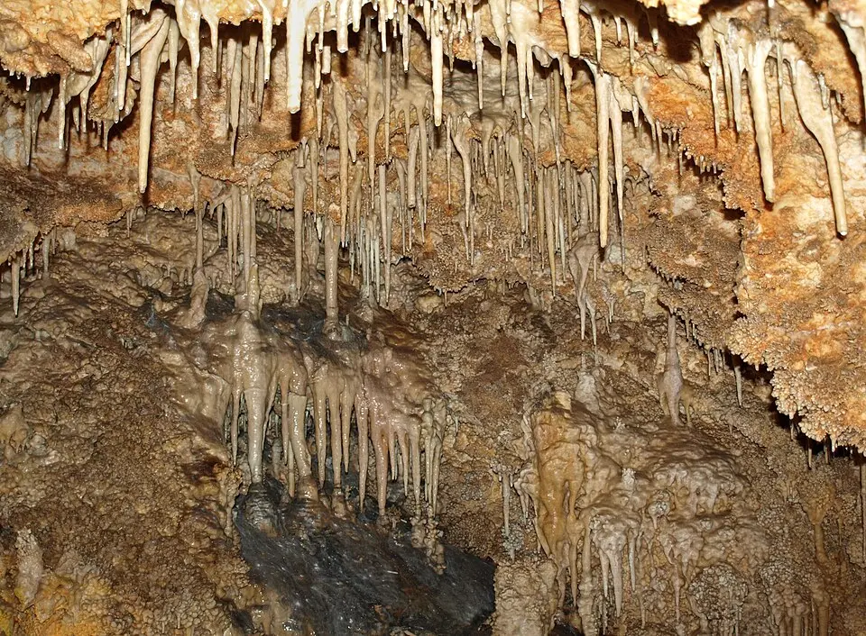 Obrázok: jqmj (Queralt) · CC BY-SA 2.0 Grutas de Cristal