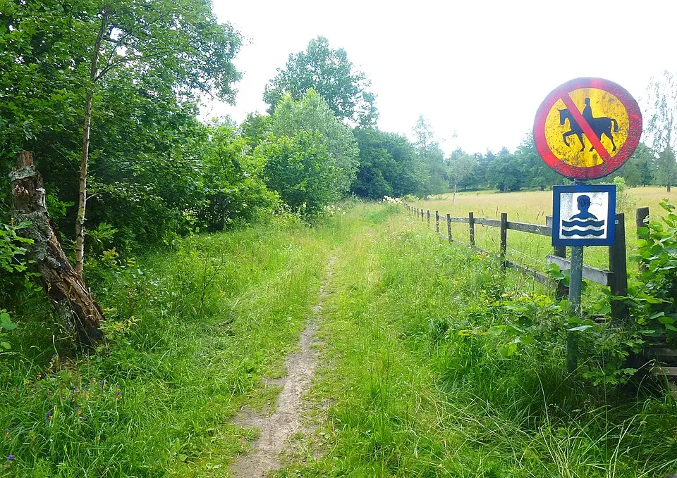 Molnsättra naturreservat