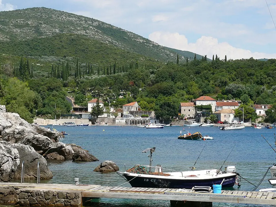Molunat