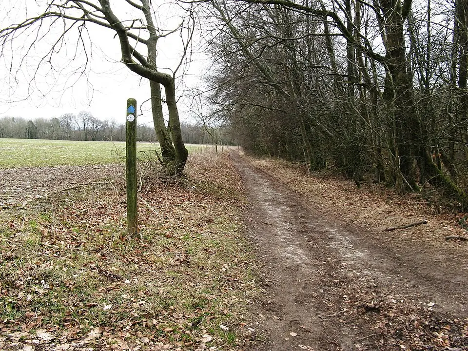 Barkhale Camp causewayed enclosure