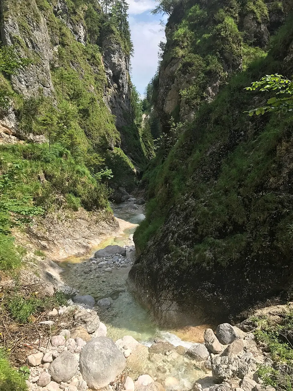 Schellenberger Forst