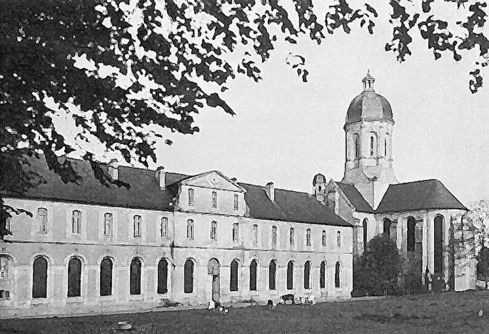 Image: Goéland · Public domain abbaye de Mondaye