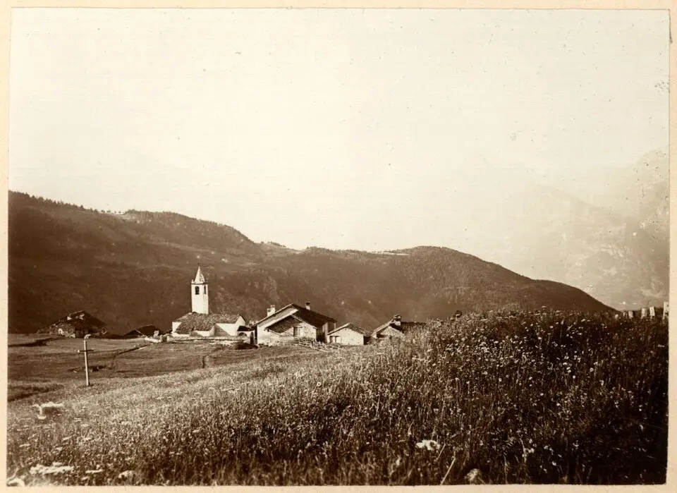 Lignan