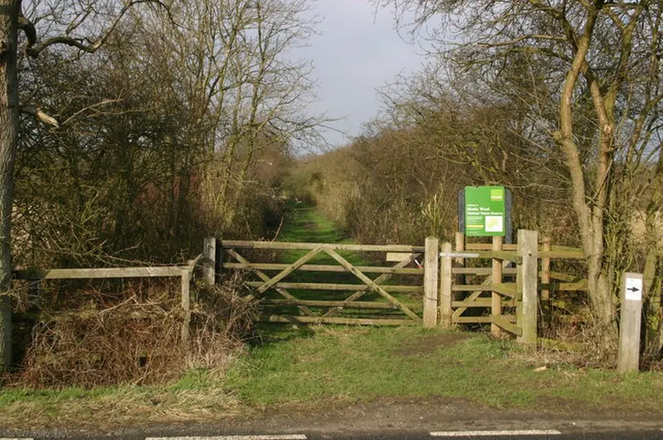 Monks Wood