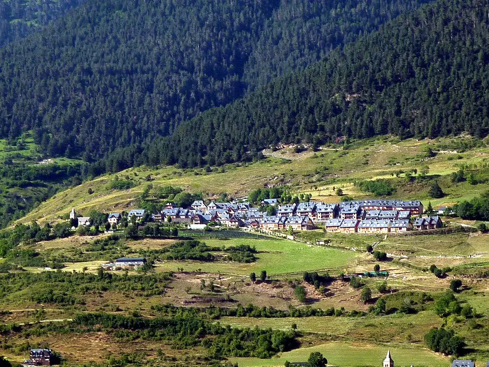 Mont