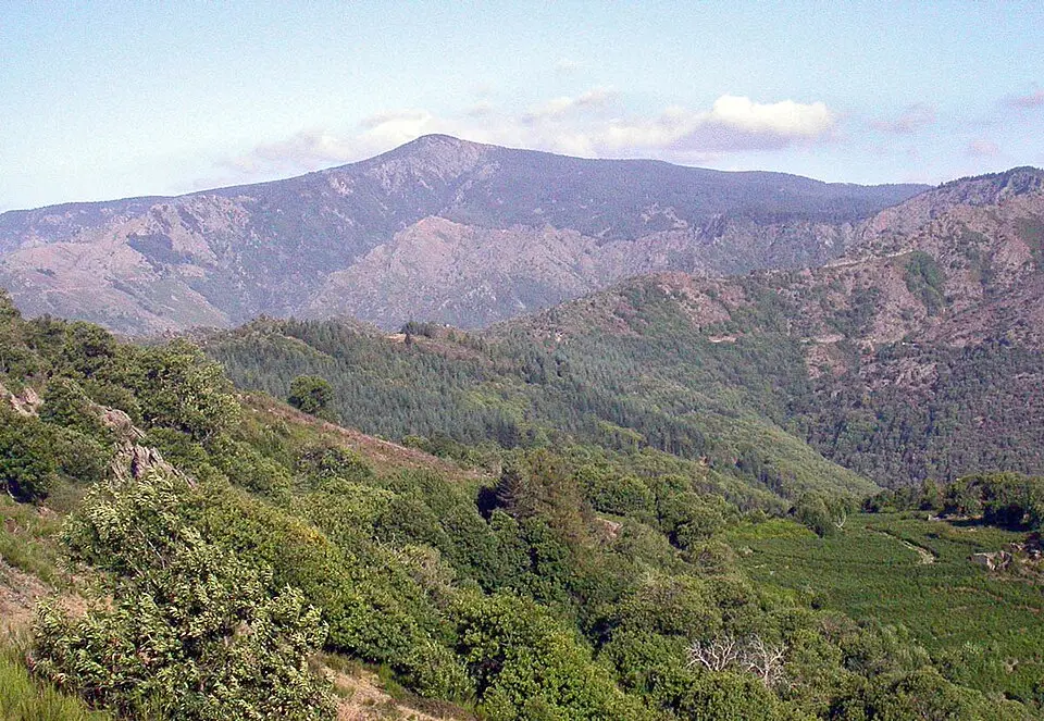 mont Aigoual
