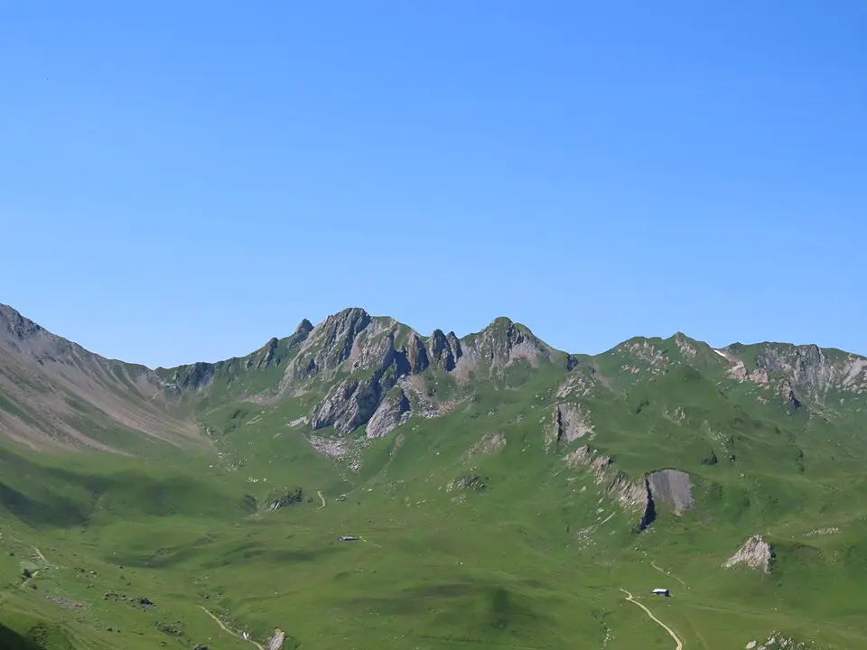 mont Coin
