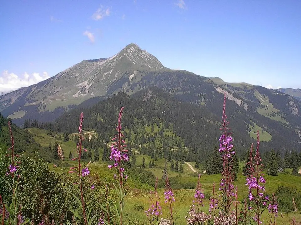 mont de Grange