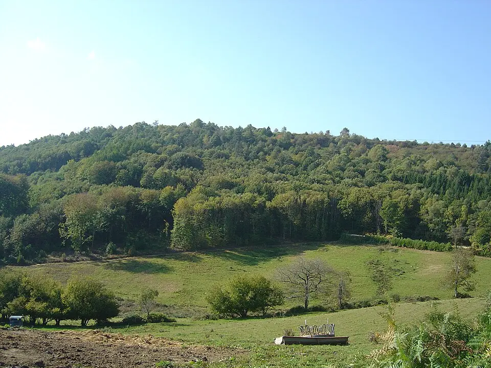 mont Gargan