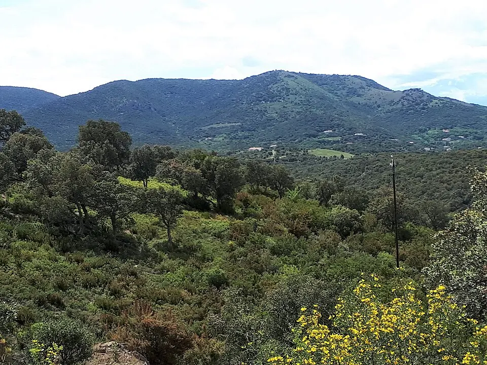 mont Helena